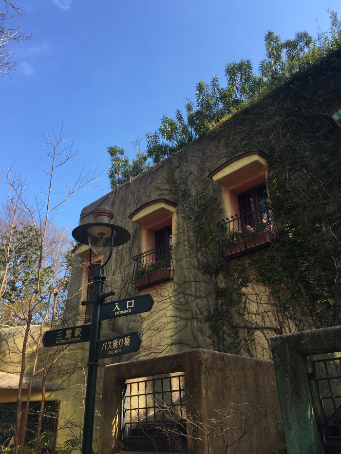 日本的冬天仍然色彩残暴,冬季日本的冰雪阳光