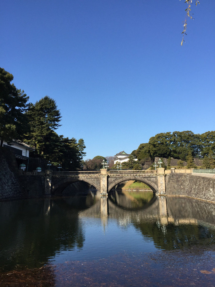 日本的冬天仍然色彩残暴,冬季日本的冰雪阳光