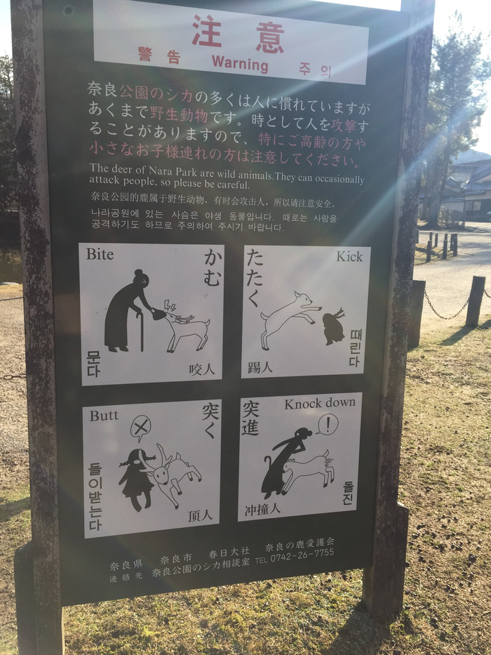 日本的冬天仍然色彩残暴,冬季日本的冰雪阳光