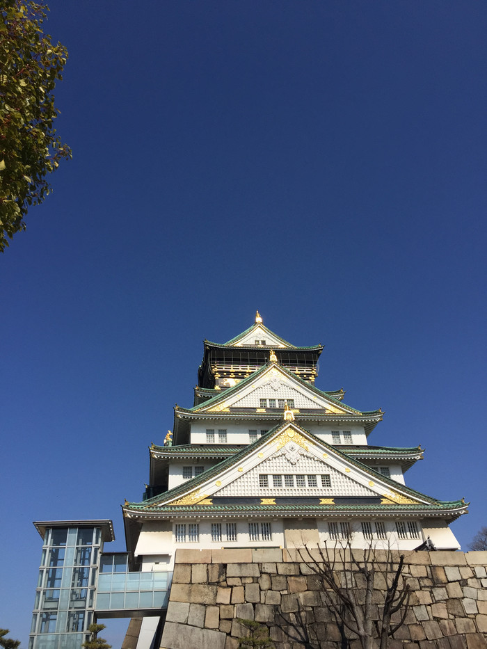 日本的冬天仍然色彩残暴,冬季日本的冰雪阳光