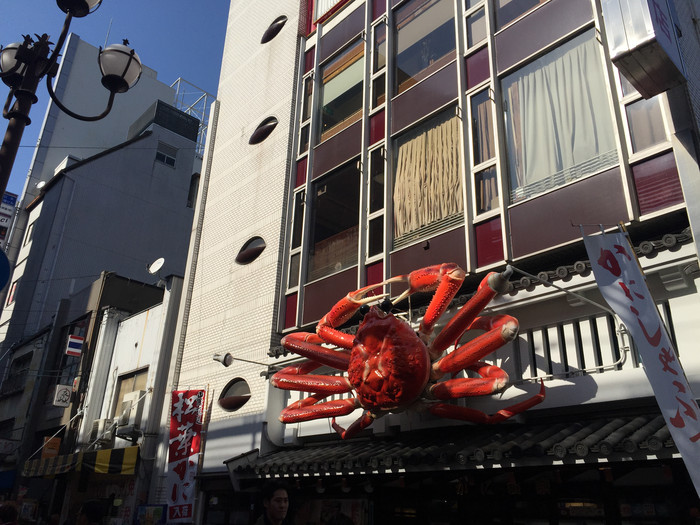 日本的冬天仍然色彩残暴,冬季日本的冰雪阳光