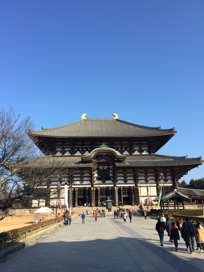 日本的冬天仍然色彩残暴,冬季日本的冰雪阳光