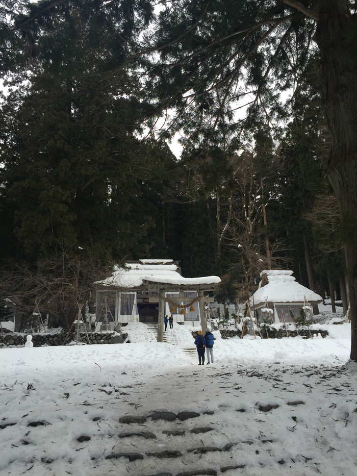 日本的冬天仍然色彩残暴,冬季日本的冰雪阳光