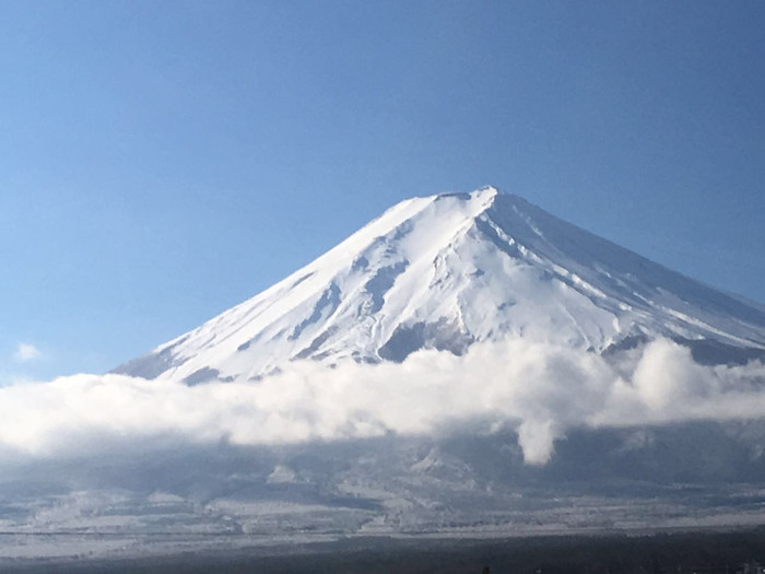 日本的冬天仍然色彩残暴,冬季日本的冰雪阳光