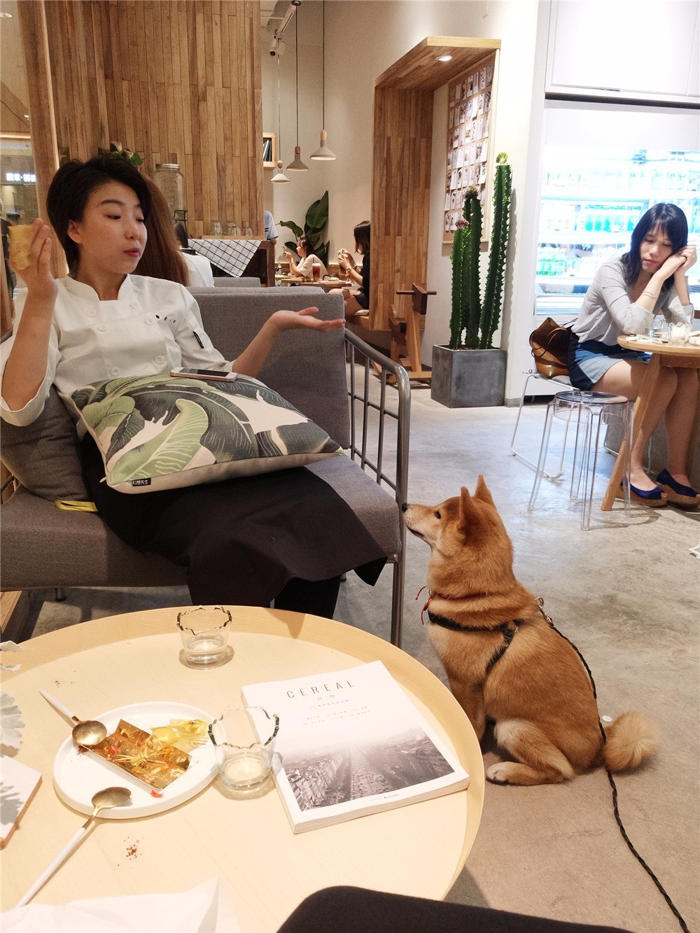 能把一条柴犬请来当服务员，也只有杭州这家新晋网红商场了吧……这波刷卡5折攻略，你一定收好！