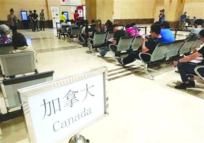 旅行社资质就可以办理签证业务吗,签证怎么办理找旅行社还是机构