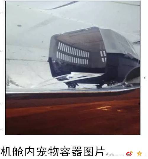 宠物狗能不能上飞机托运,飞机托运狗狗受伤