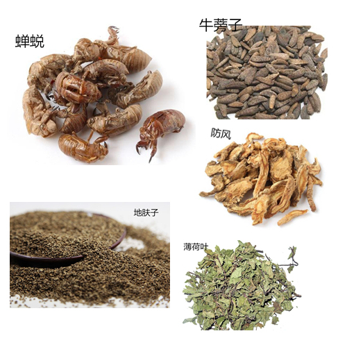 击退小疹子,四种方法帮你止痒