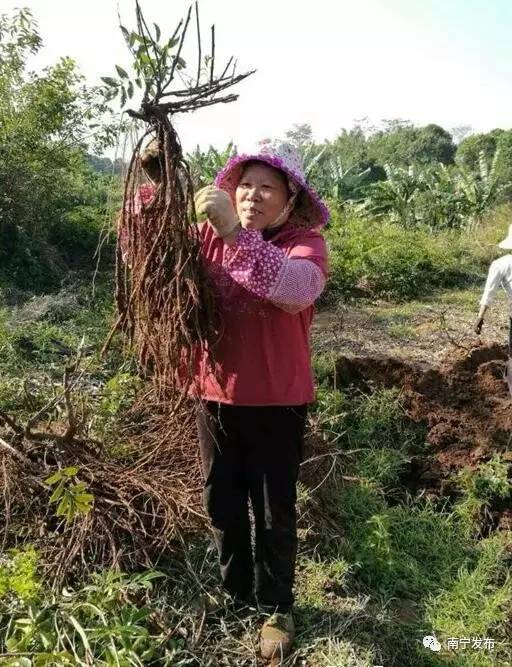 给网友的一封信,南宁市民的一封信