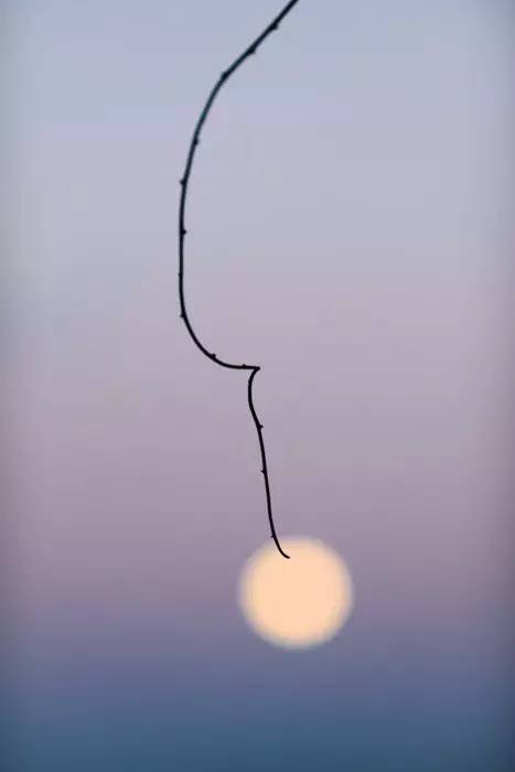 夏天就该去玩,夏天就去丽江旅游