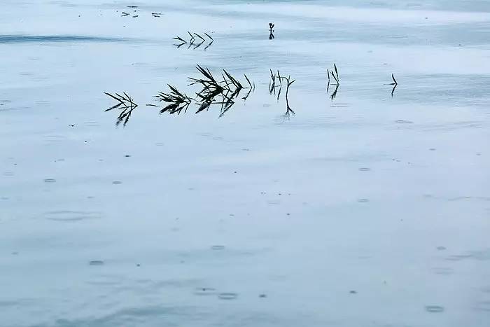 夏天就该去玩,夏天就去丽江旅游