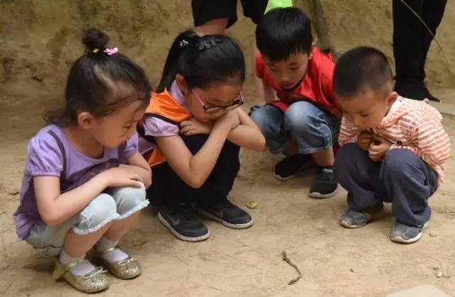 六一到了小孩子们都去哪玩了,六一到小朋友们齐欢笑