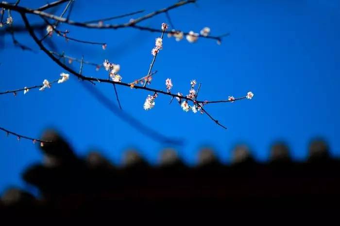 夏天就该去玩,夏天就去丽江旅游