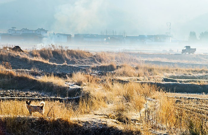 夏天就该去玩,夏天就去丽江旅游