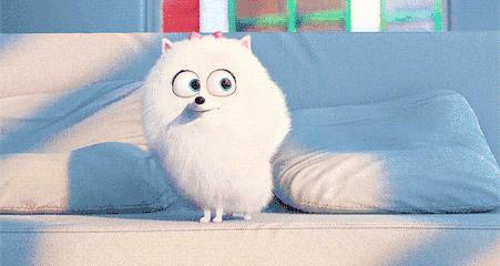 说来惭愧，我的大学不过就是成都所有高校中最好吃的！