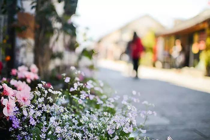 夏天就该去玩,夏天就去丽江旅游