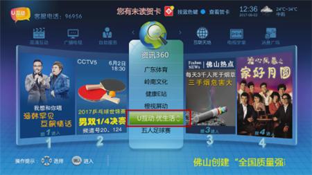 广东省青少年足球锦标赛u13佛山,广东佛山市青少年u8足球比赛