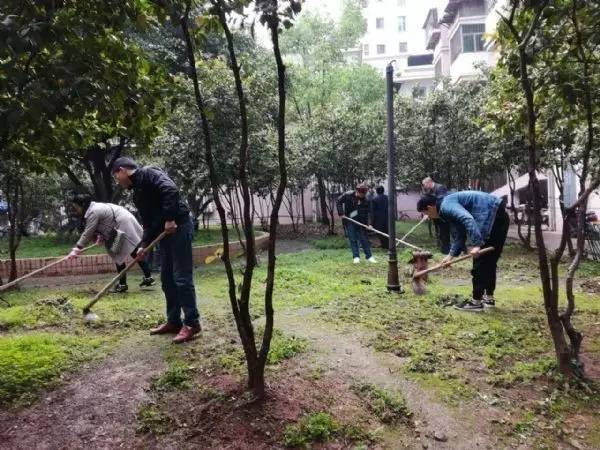 三明徐碧派出所,福建省三明市徐碧派出所