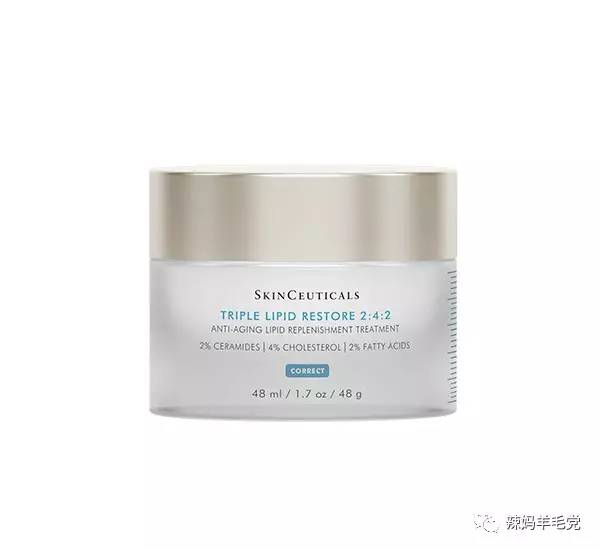 肌肤问题良药——SkinCeuticals修丽可药妆