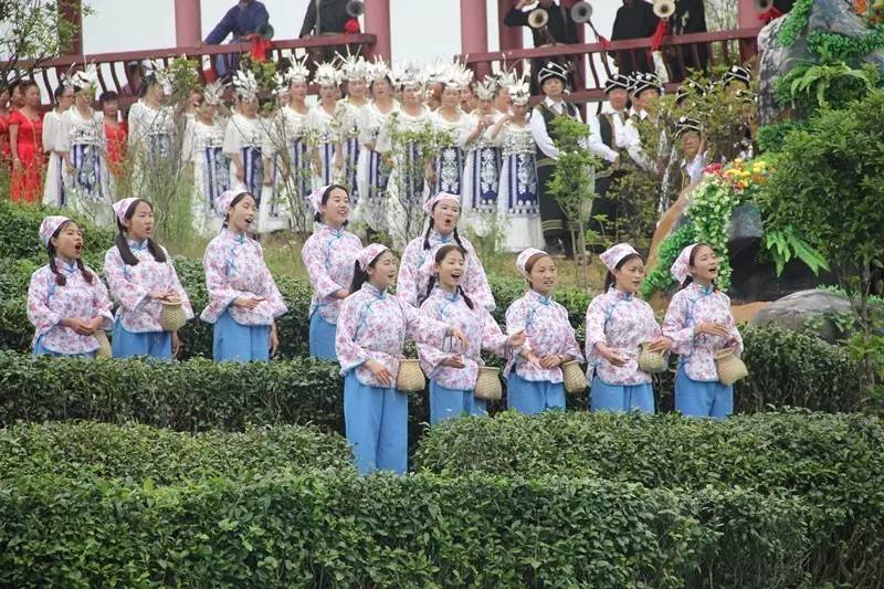 牵手茶人聚匀城，拥抱世界品香茗