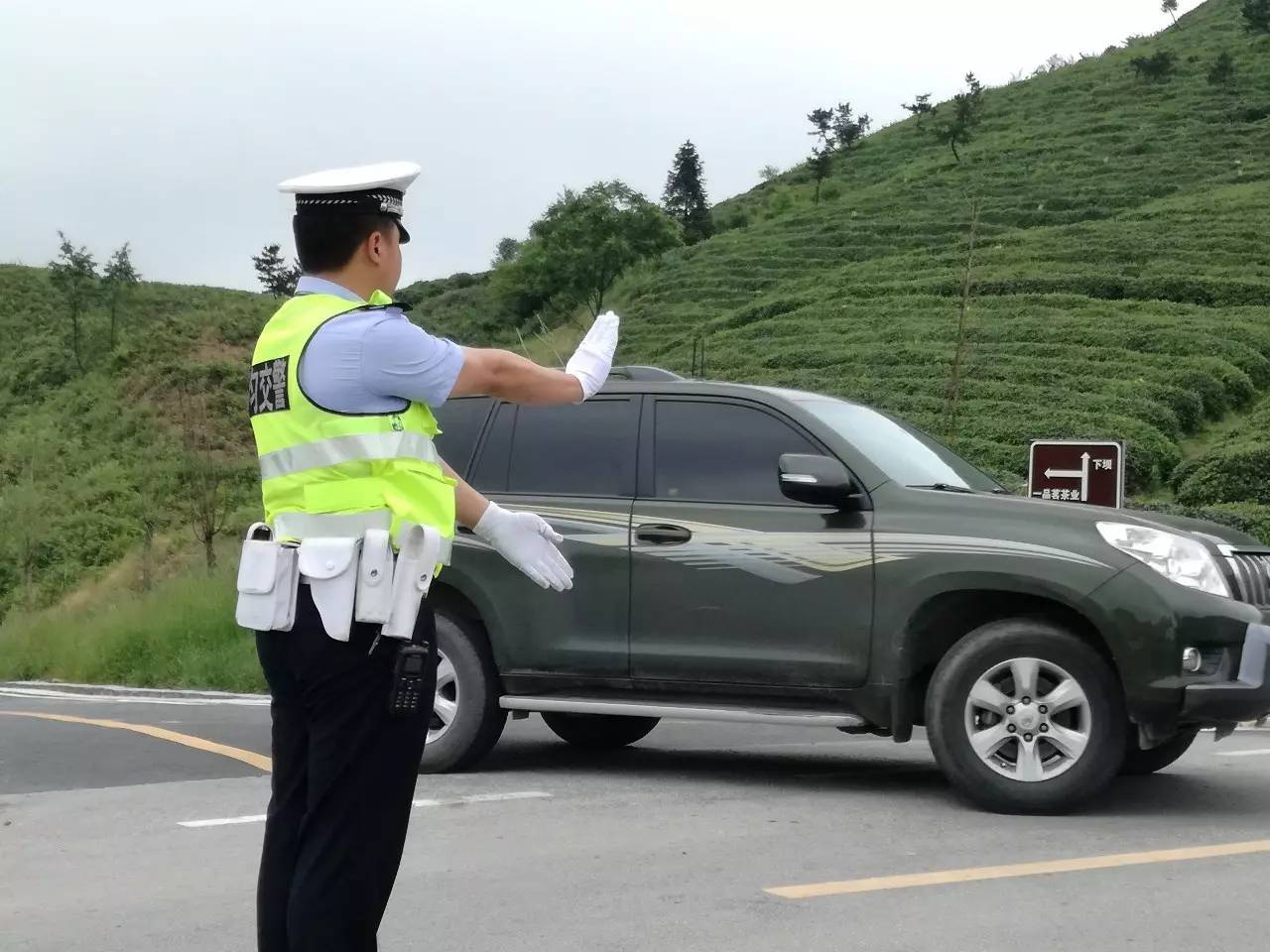 牵手茶人聚匀城，拥抱世界品香茗