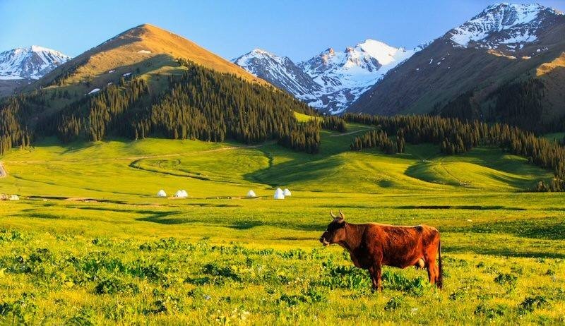 武汉又加开高铁线了，去兰州、乌鲁木齐这些地方玩，省钱又省时啦！