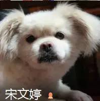 无反转不勒芒：“人车炼狱”不过如此了