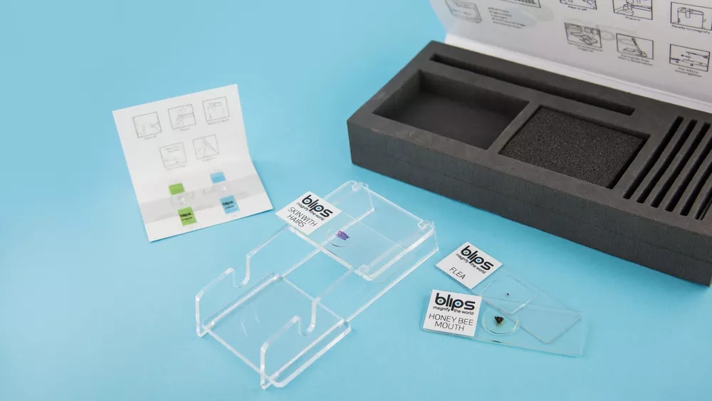 苹果手机自带微距镜头有哪些,iphone微距拍摄手机镜头