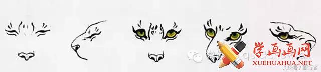 画虎年老虎,国画虎的基本绘画技法