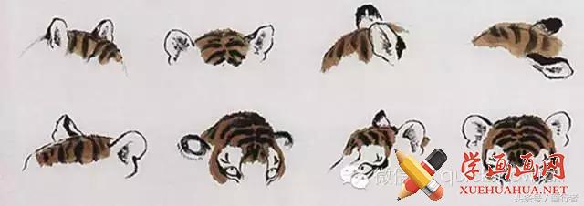 画虎年老虎,国画虎的基本绘画技法