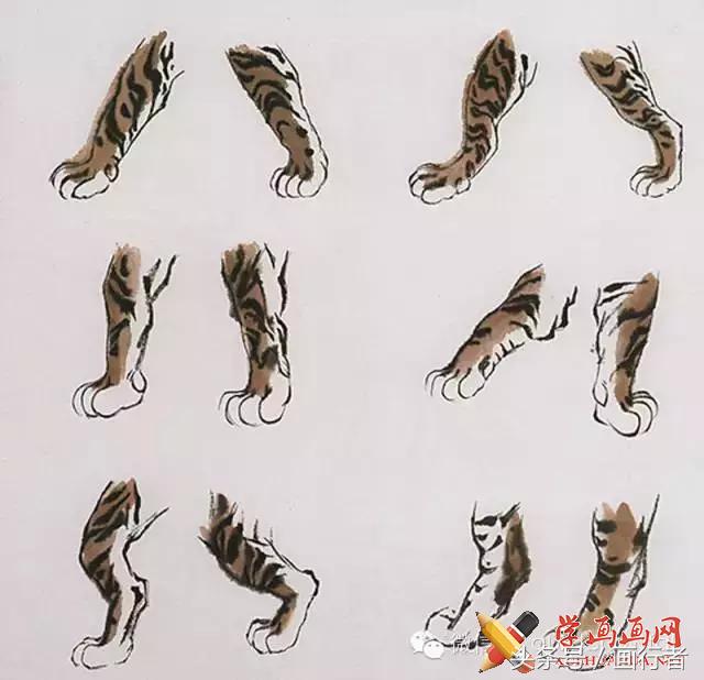 画虎年老虎,国画虎的基本绘画技法