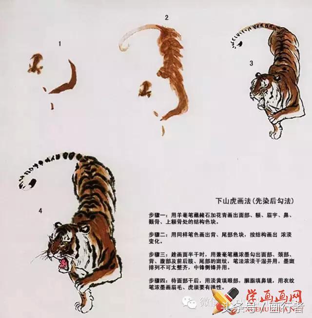 画虎年老虎,国画虎的基本绘画技法