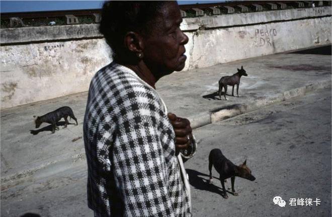 摄影三角构图详解,三角构图曲线构图