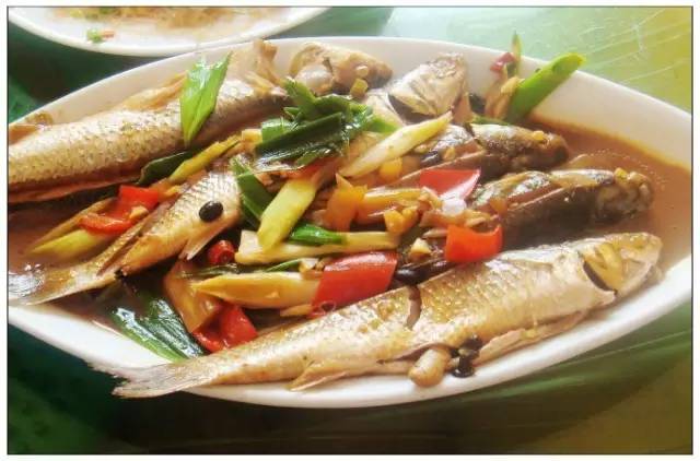 自驾旅行不辜负每一刻好时光 (趁着周末闲暇时间自驾出游)