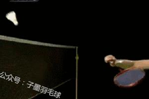 羽毛球网前挡球的正确姿势,羽毛球勾球搓球推球扑球挑球