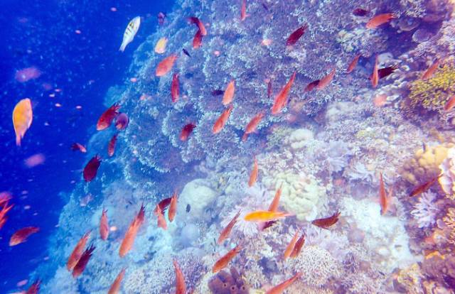 性价比出国游推荐,5000元出境游推荐