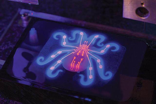 loomo机器人测评,loomo平衡机器人