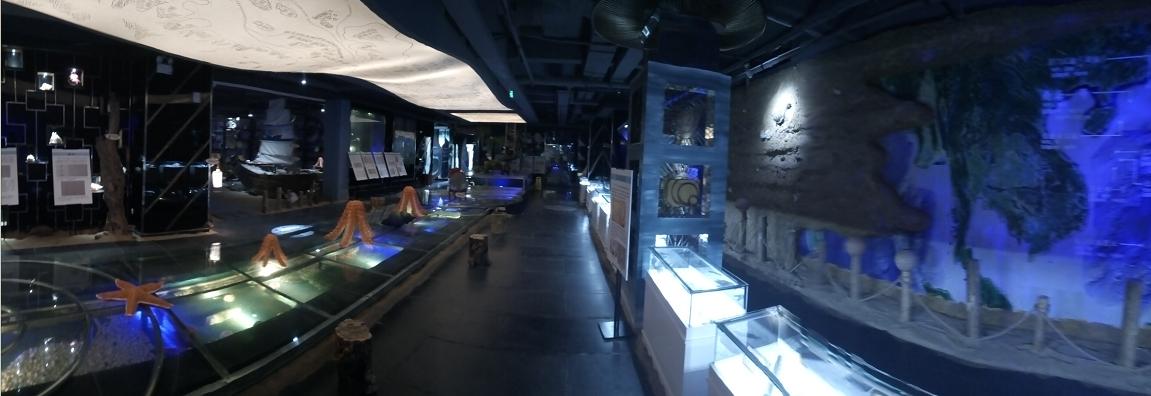 蔚蓝色的邂逅,皇马假日南海博物馆酒店早餐