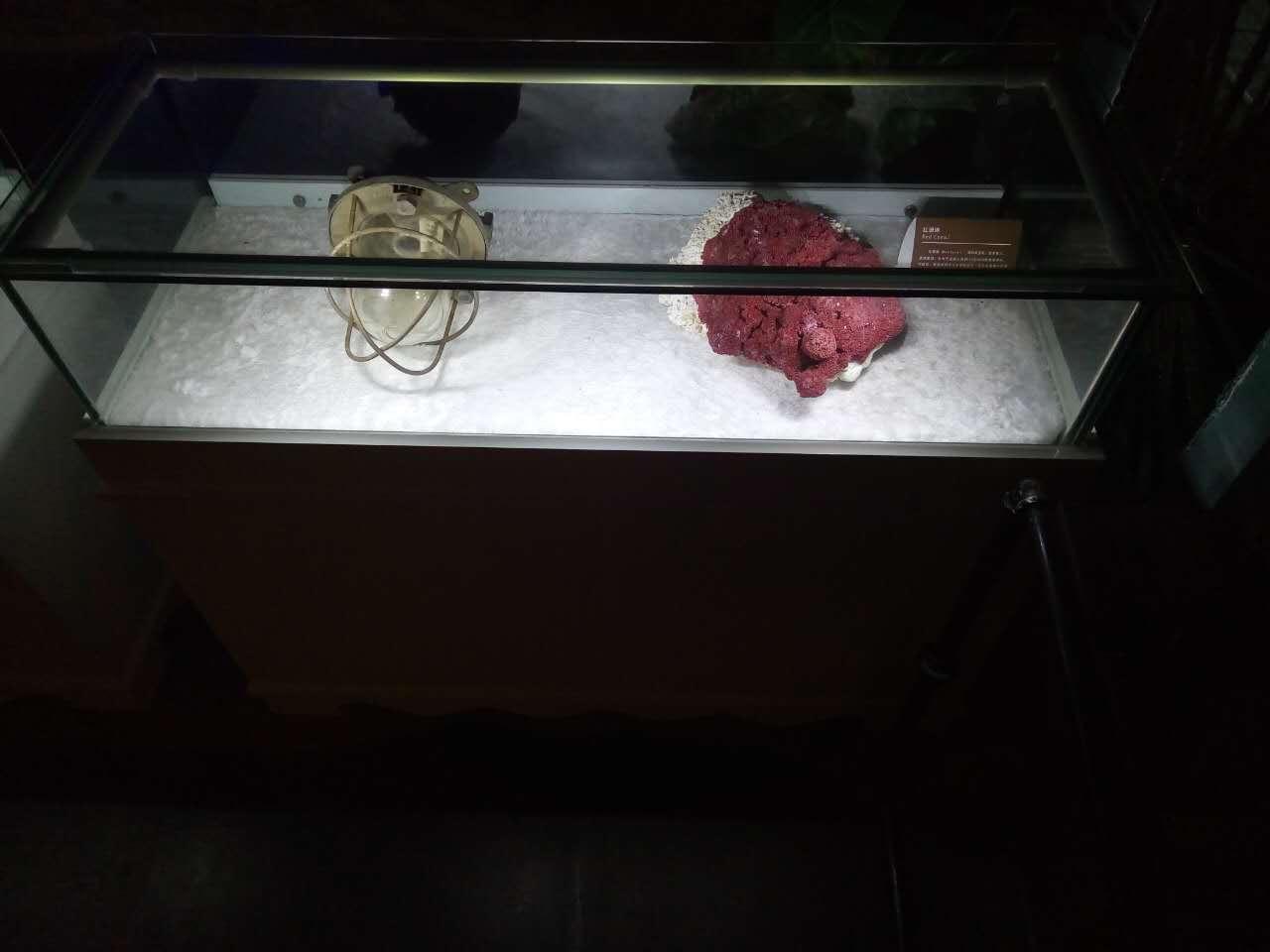 蔚蓝色的邂逅,皇马假日南海博物馆酒店早餐