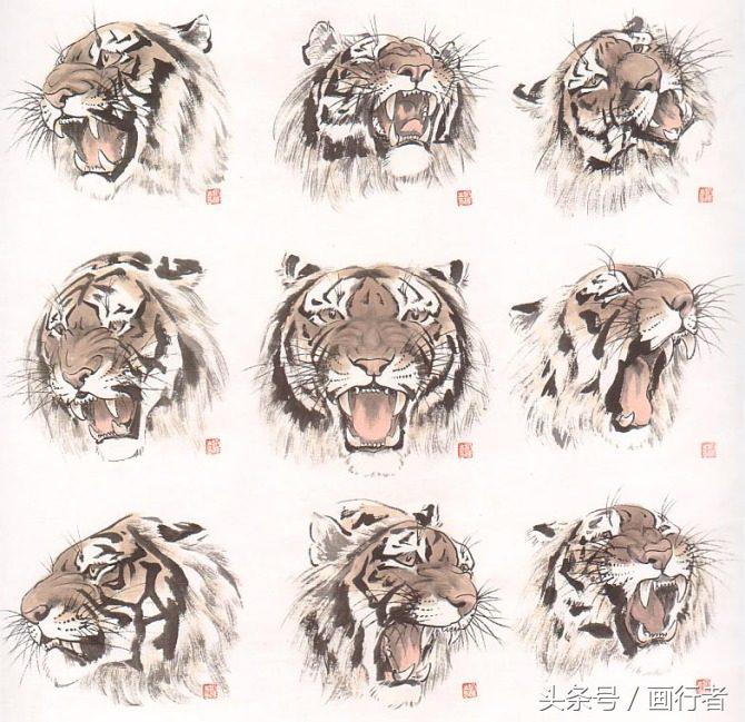 画虎年老虎,国画虎的基本绘画技法