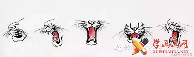 画虎年老虎,国画虎的基本绘画技法