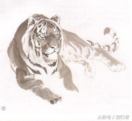 画虎年老虎,国画虎的基本绘画技法