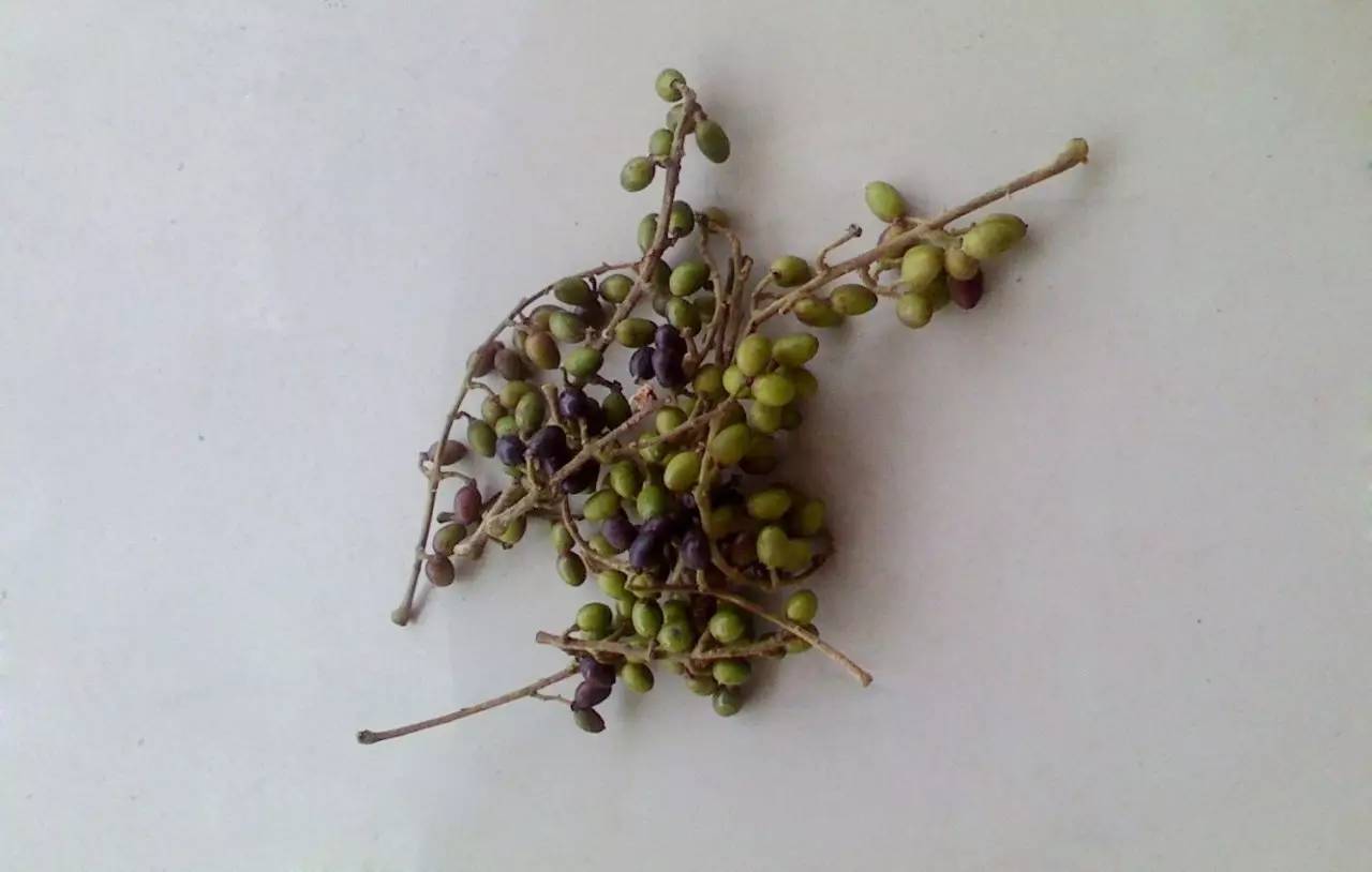 脚趾茧去除最简单方法,脚趾上长了个硬疙瘩像茧怎么去除