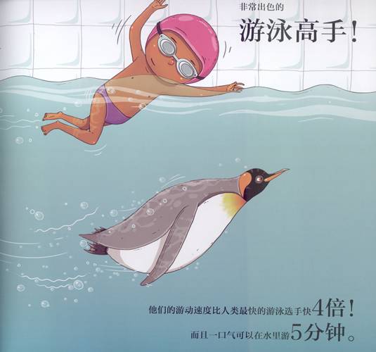 又好玩又有趣的绘本爱不释手,科普绘本推荐7-12岁科普绘本