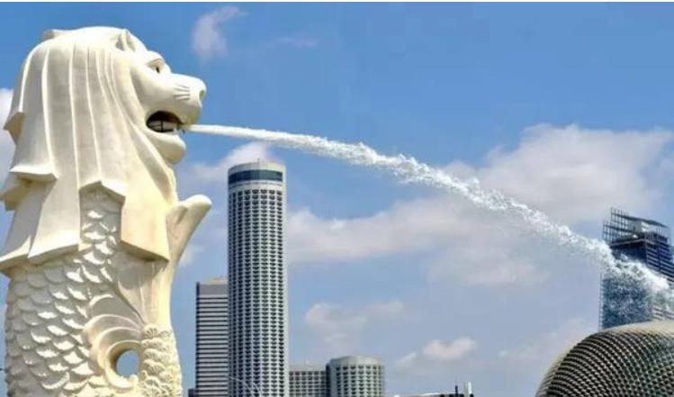 办理新加坡签证96小时过境签,新加坡转机要过境签吗