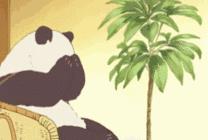 日本代购须知,收好日本代购清单