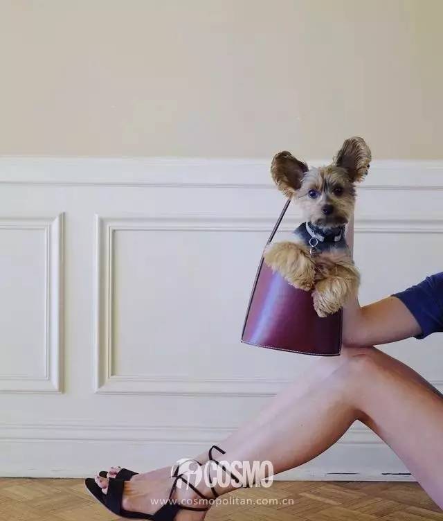 大牌小众平价包包大容量,大牌平民价包包