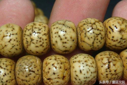 星月菩提真假判断,星月菩提真假对照表