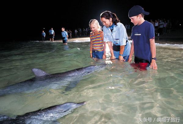 36个必须知道的澳洲旅行贴士,澳洲昆士兰州自由行攻略