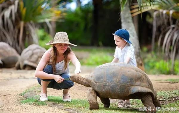 世界最适合举行婚礼的海岛,世界第一海岛婚礼